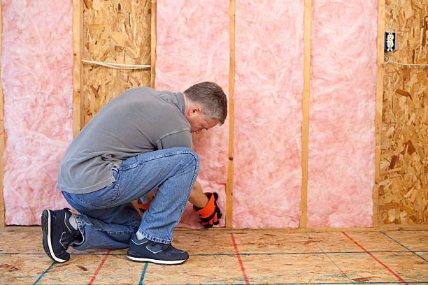 Best Residential Insulation in Wolf Point, MT